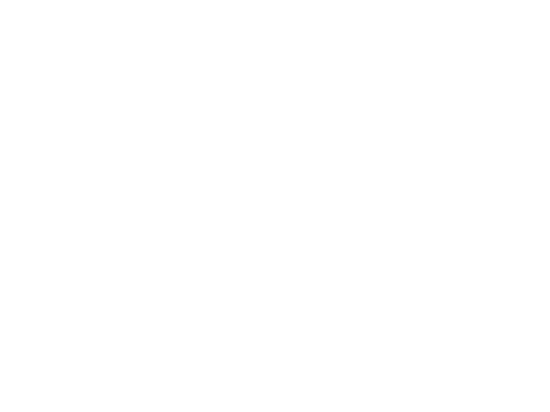 Yo