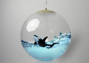 Orca