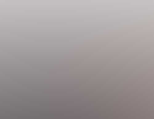 Web Design Description